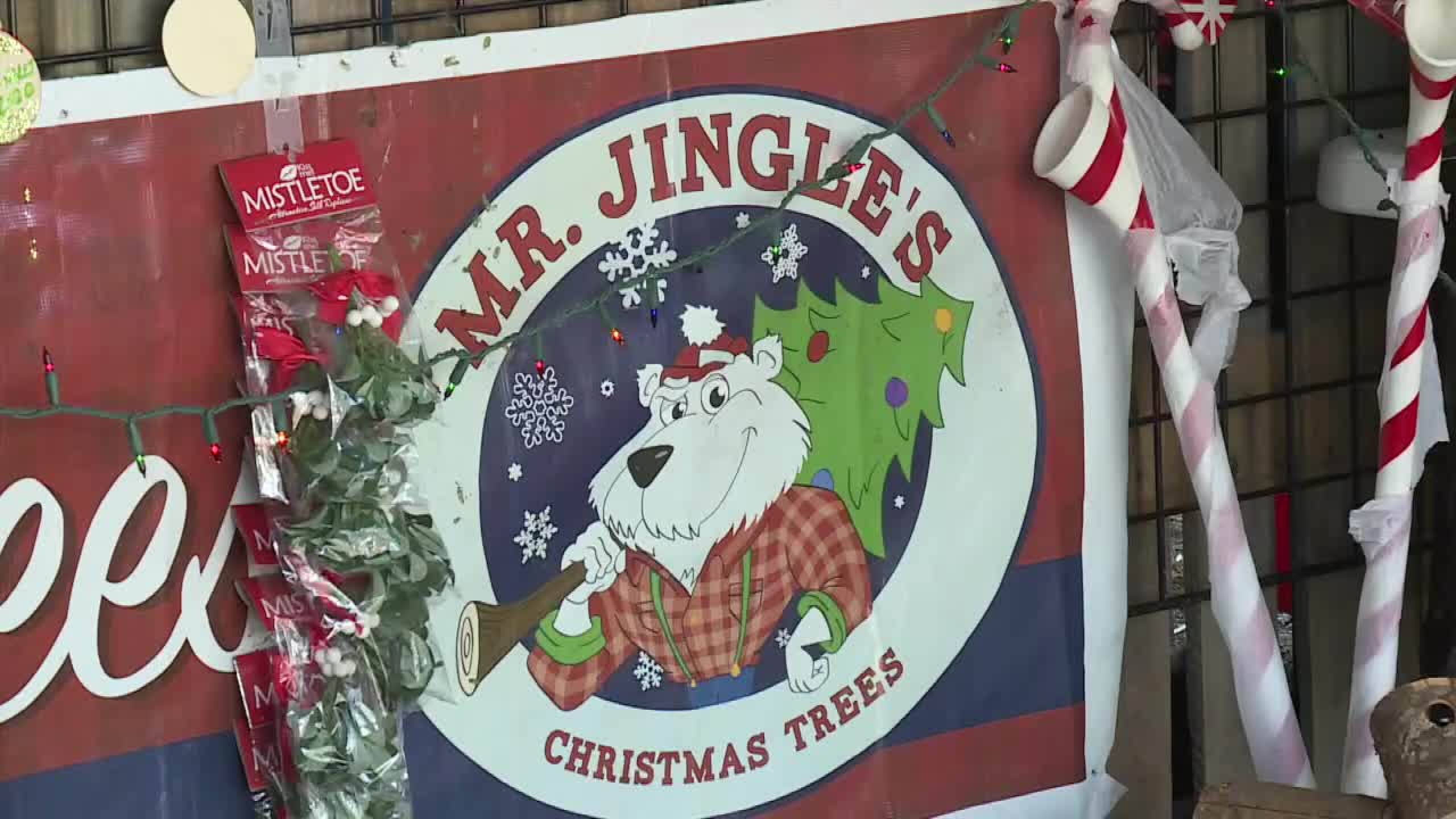 Pandemic contributing to increased Christmas spirit