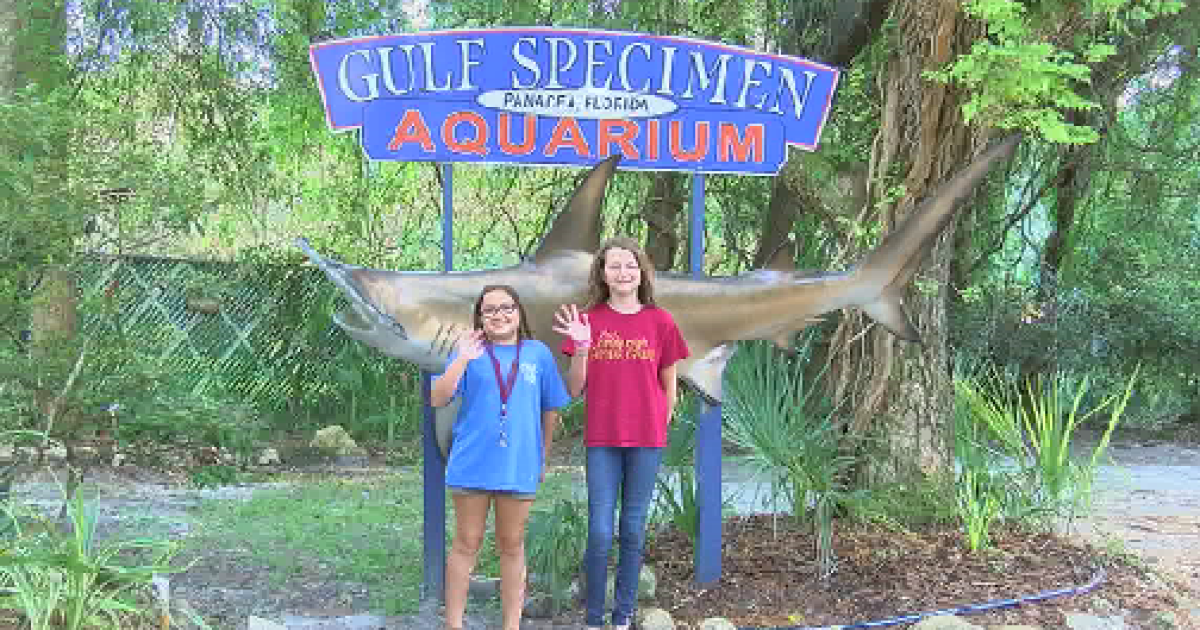Anne Rudloe Marine lab lives after Irma hits