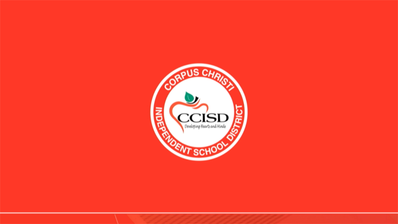 CCISD.png