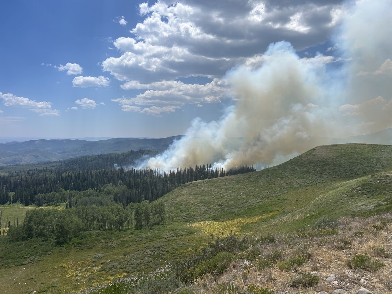 Buck Basin Fire (3).jpg