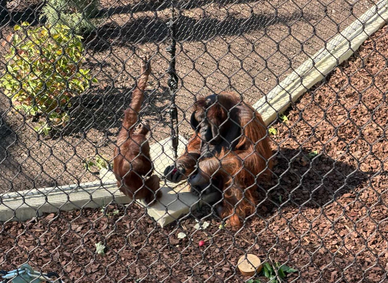 ZOO Exhibit