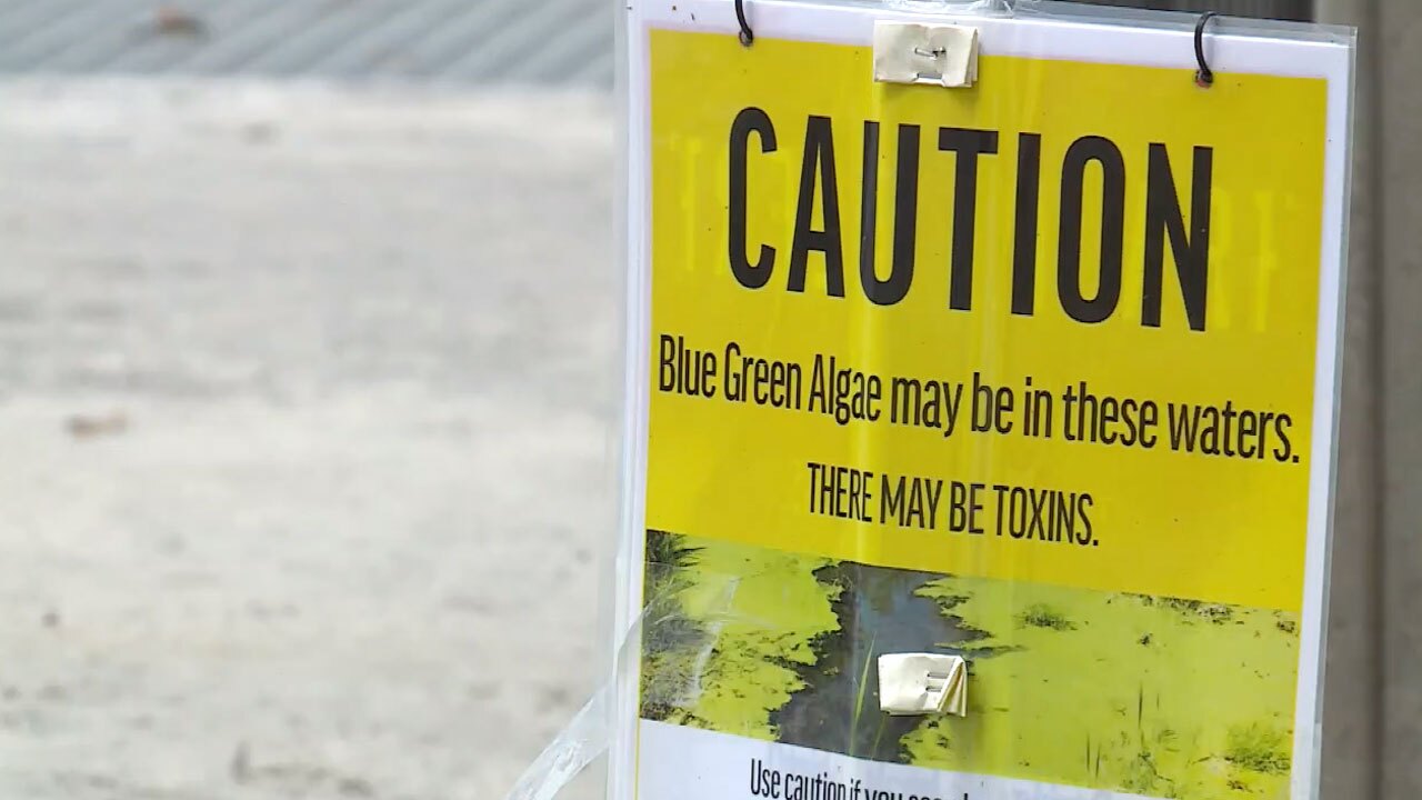 Blue-green algae sign at the Pahokee Marina on Sept. 13, 2021