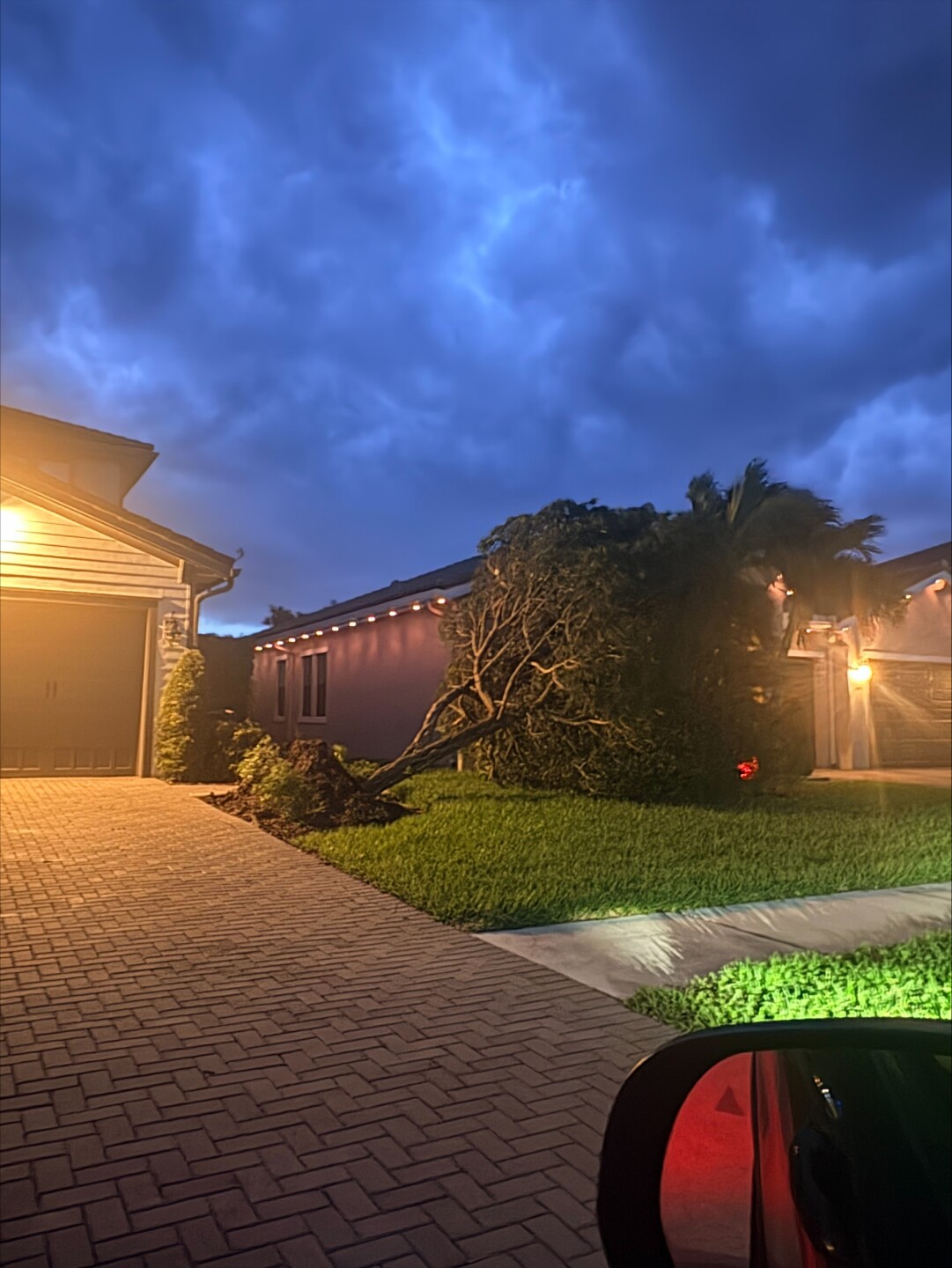 Tree Down