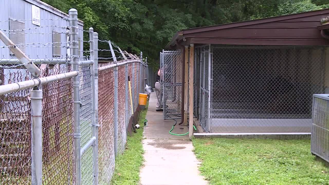 Petersburg Animal Care and Control