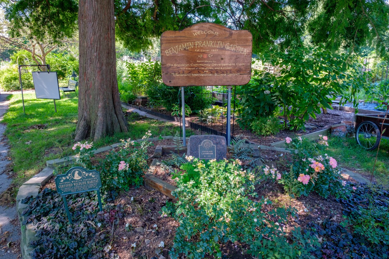 HG - Ben Franklin Community Garden 1.jpg