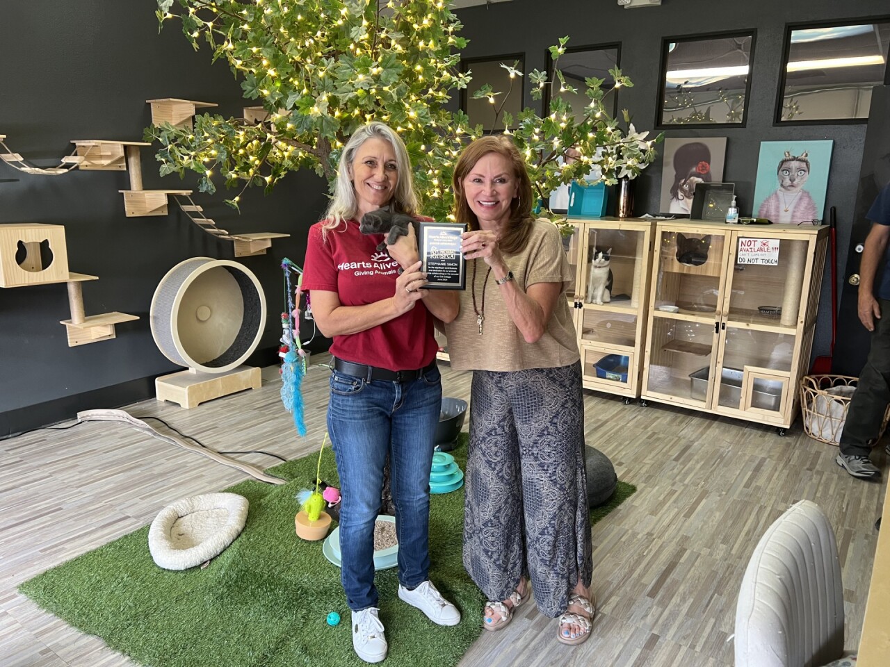 Hearts Alive Village Cat Café