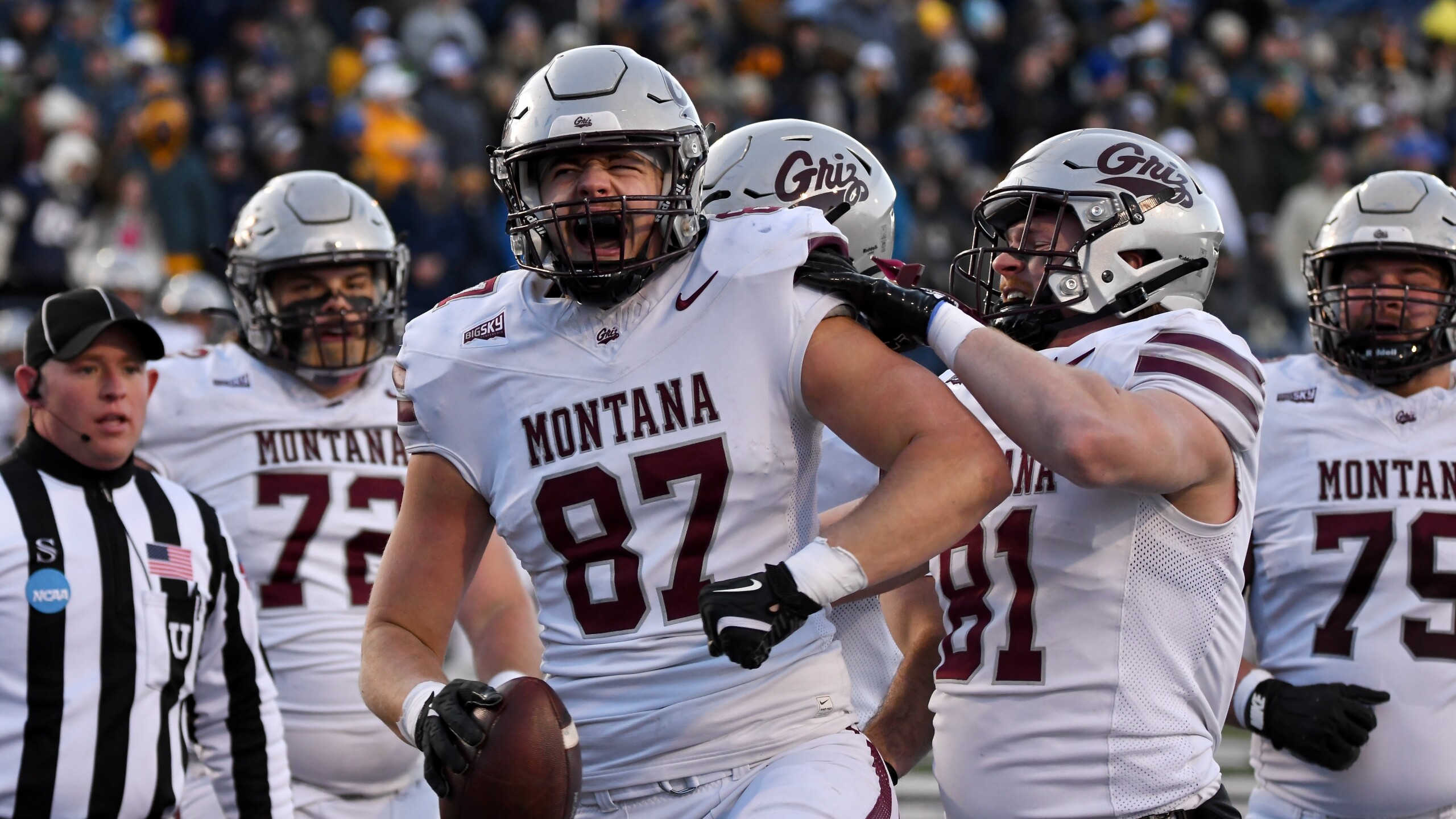 Montana at Montana State