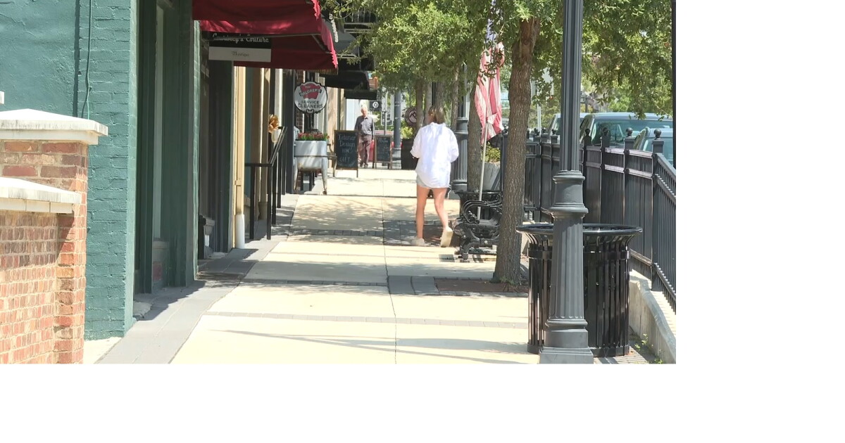 Thomasville neighbors concerned with latest city council proposal - Vimarsana News