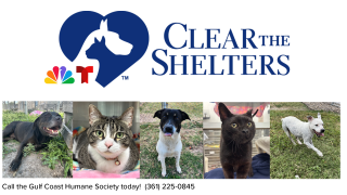 ClearTheShelters2 - 00.png