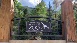 Cheyenne Mountain Zoo