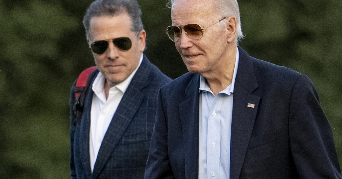 President Joe Biden pardons son Hunter as White Home time period nears finish