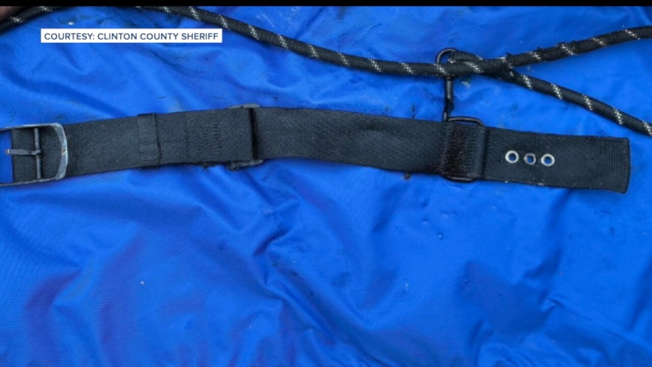 DOG FOUND IN TRASH BAG