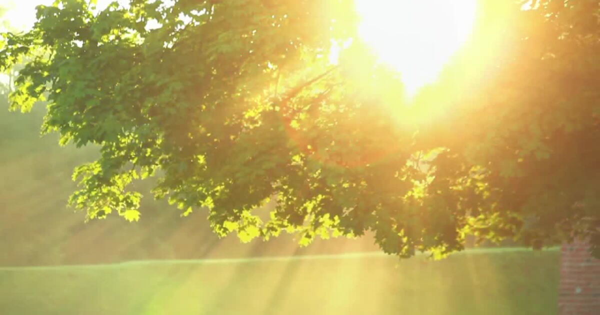 Wednesday Light Wellness Wednesday – Light regulation