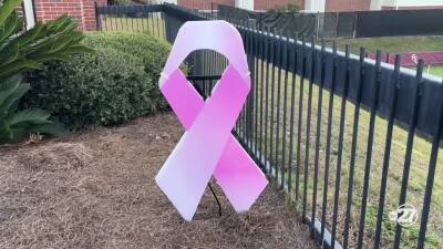 Painting It Pink: FSU Fights Breast Cancer On and Off the Field