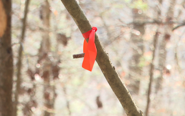 Screenshot 2025-03-13 114904.png