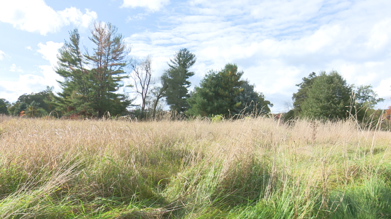 Screen Shot 2022-10-15 at 9.57.28 PM.png