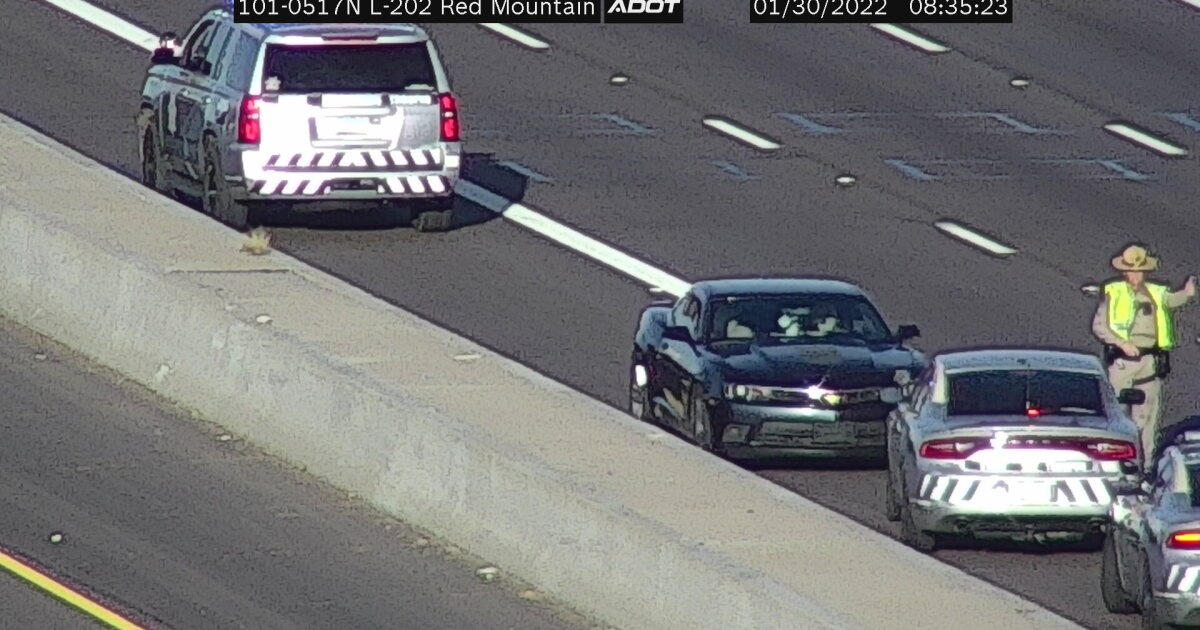 17-year-old wrong-way driver stopped by trooper on Loop 202