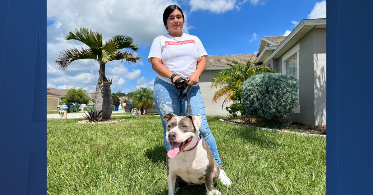 Winter Haven woman reunited with dog lost 5 years ago in North Carolina - Vimarsana News
