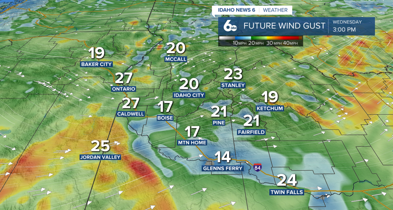 Future Wind Gusts