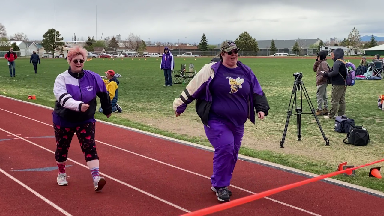 Purple Hornets of Great Falls