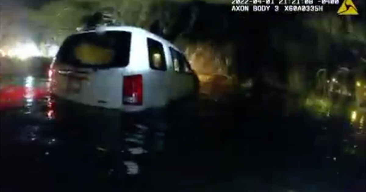 Instinct drove police into frigid water to rescue family with infants