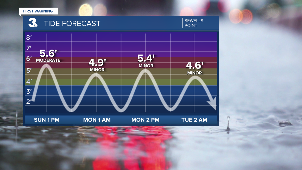 Tide Times - Sewells Point.png