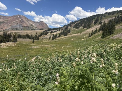 Scarp Ridge