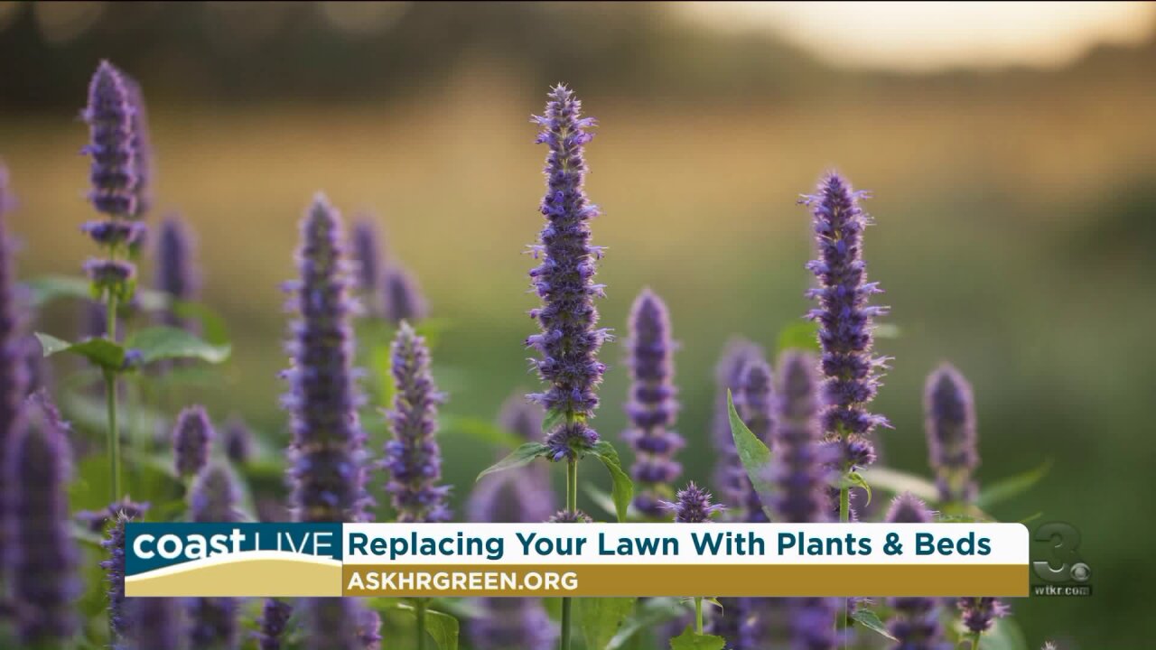 Some native plants that can make your garden more eco-friendly on Coast Live