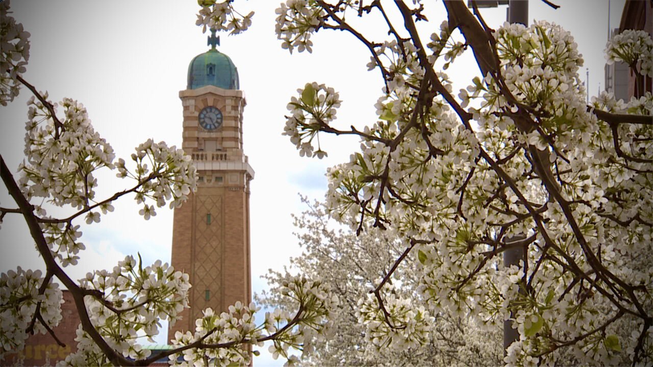 Flowers budding in front of the West Side Market.