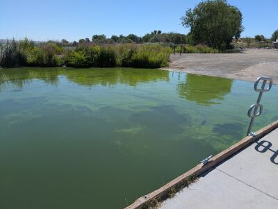 Algae bloom.jpg