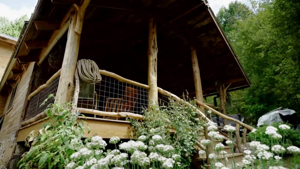 John Saunby Dream Home Lester, North Carolina