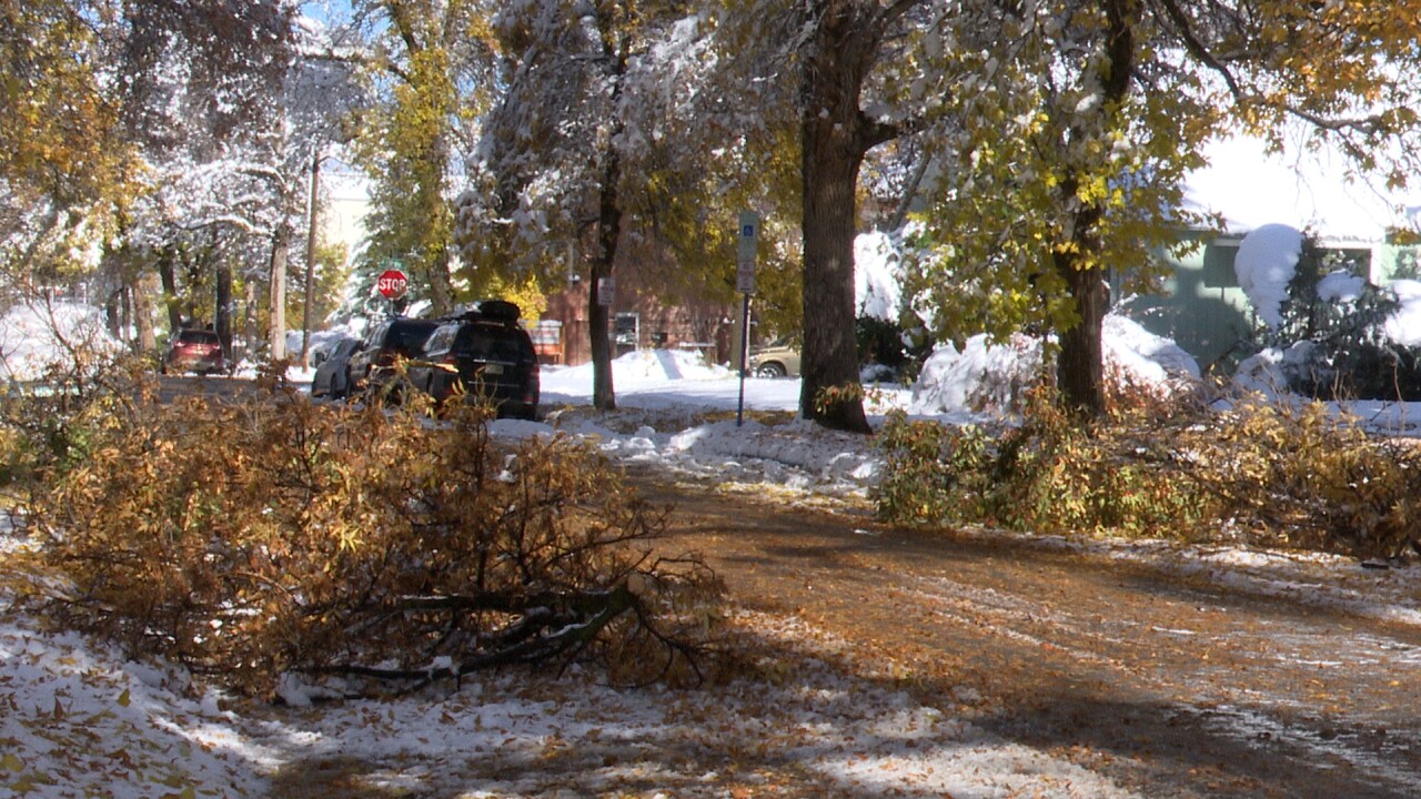 Bozeman Snow .jpg