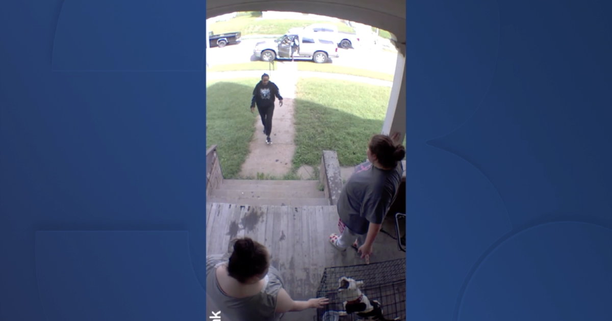 Dog stolen in broad daylight in North Omaha