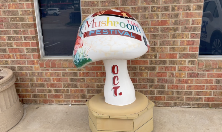 Madisonville city council establishes youth council to engage high school students in government