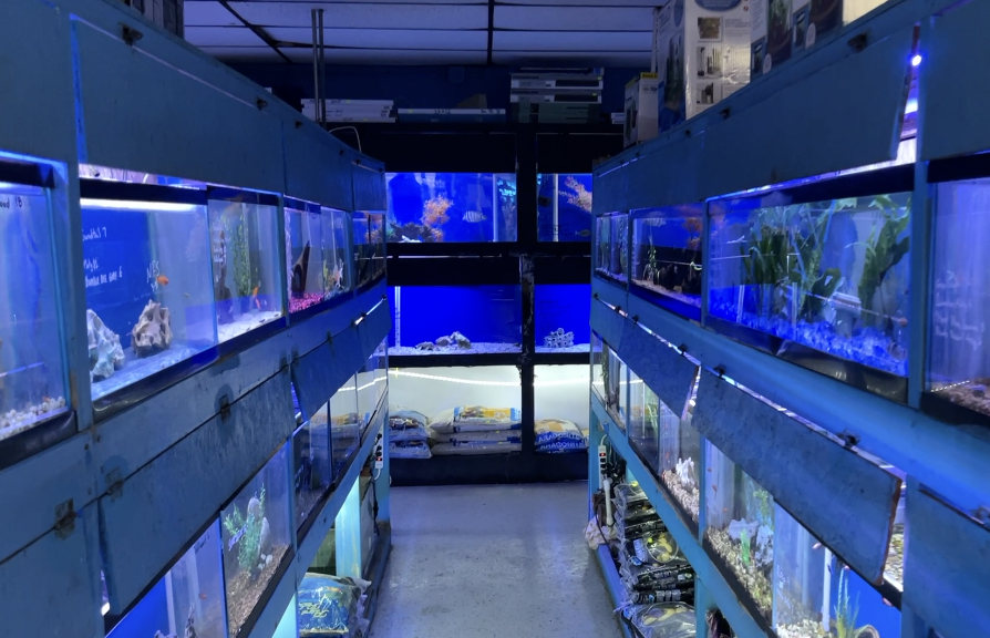 Oceans & Seas pet store in Roseville