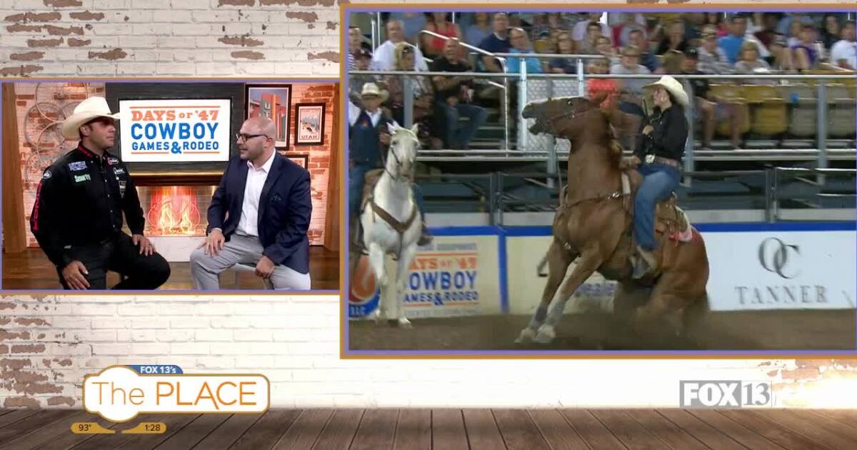 This announcer keeps fans informed and engaged every night