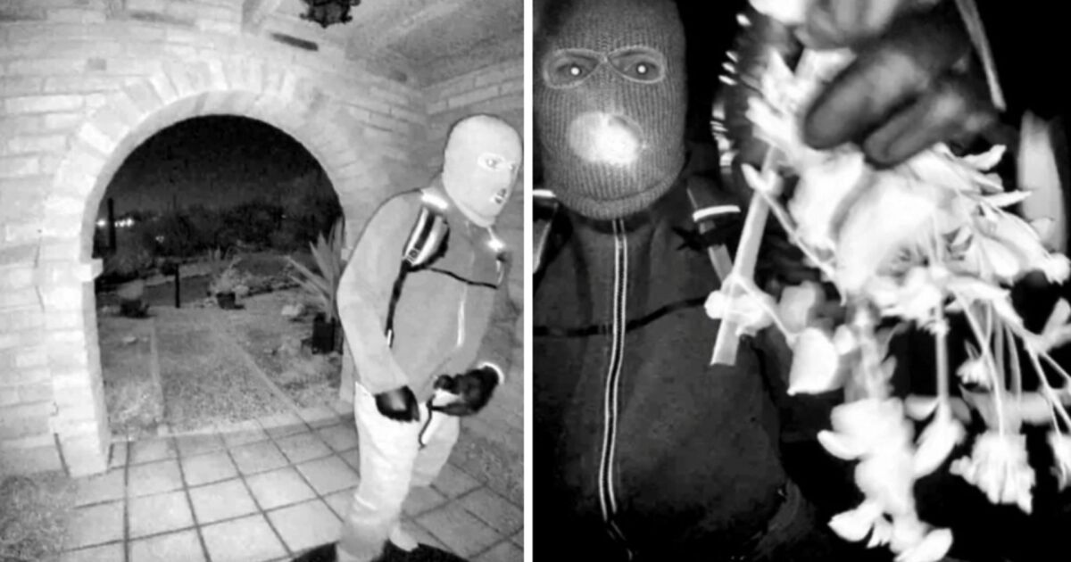 FBI: Glove with DNA found near Nancy Guthrie's home appears to match those on masked man