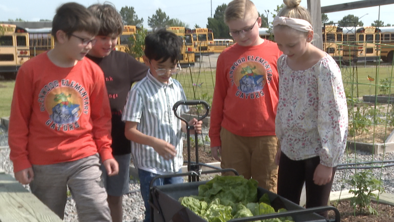 Glenwood Elementary garden