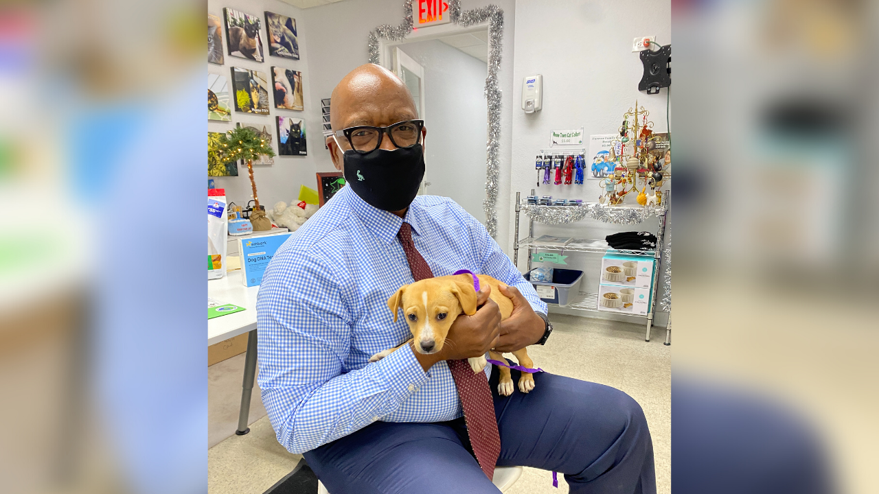 Ken Welch new dog2 Friends of Strays Animal Shelter.png