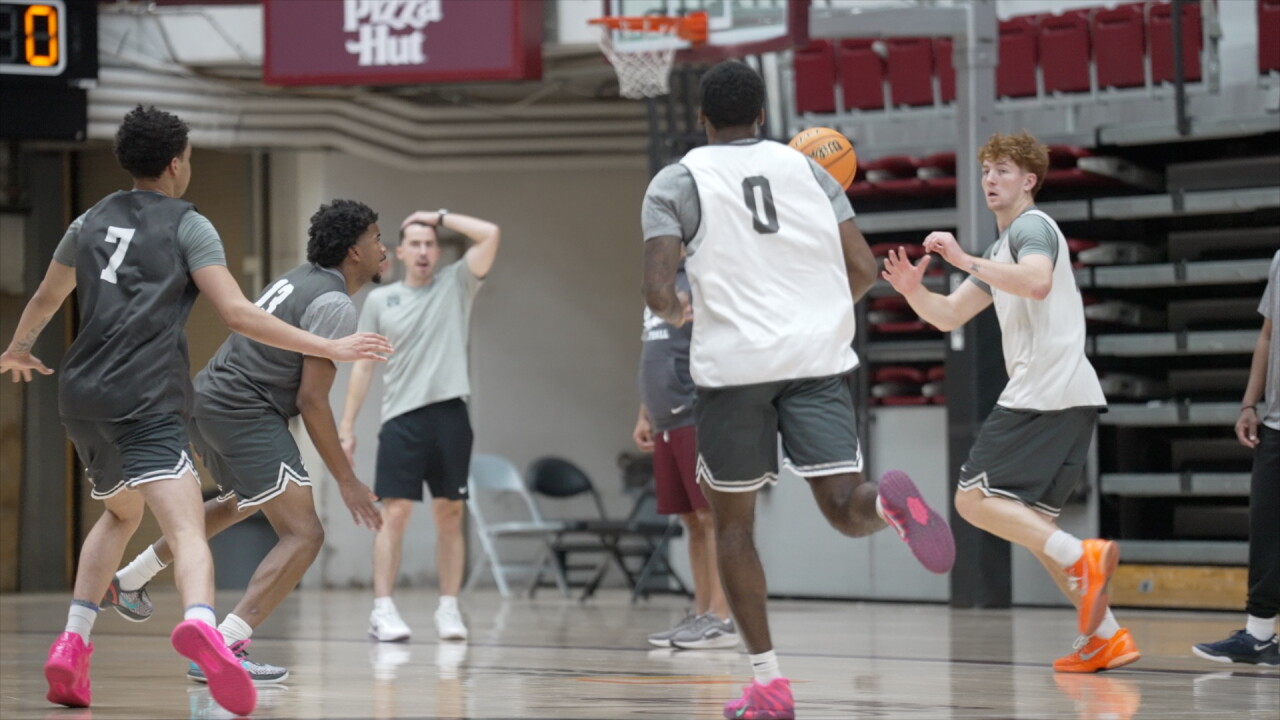 GRIZ MBB 3.jpg