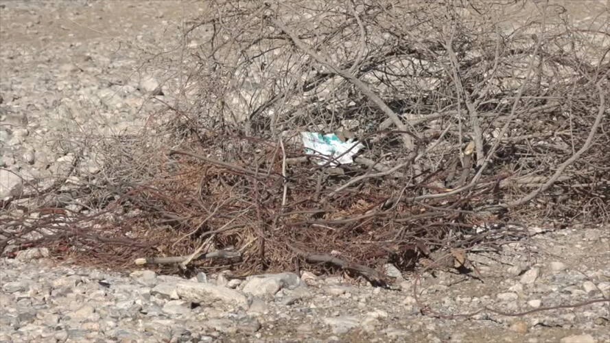 Southwest Las Vegas resident raises questions about proposed cell tower, dumping concerns