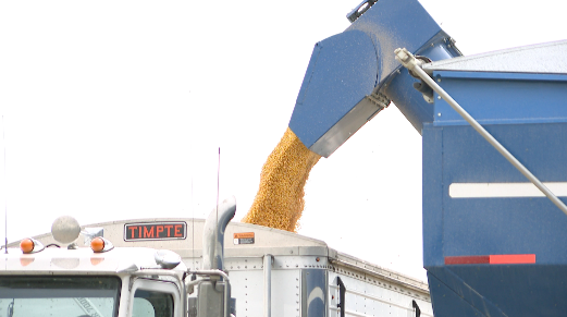 Kansas Corn Harvest