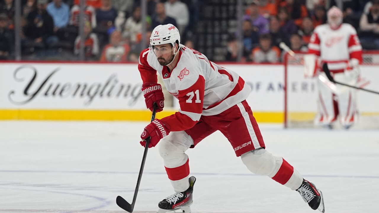 Red Wings Larkin Hockey