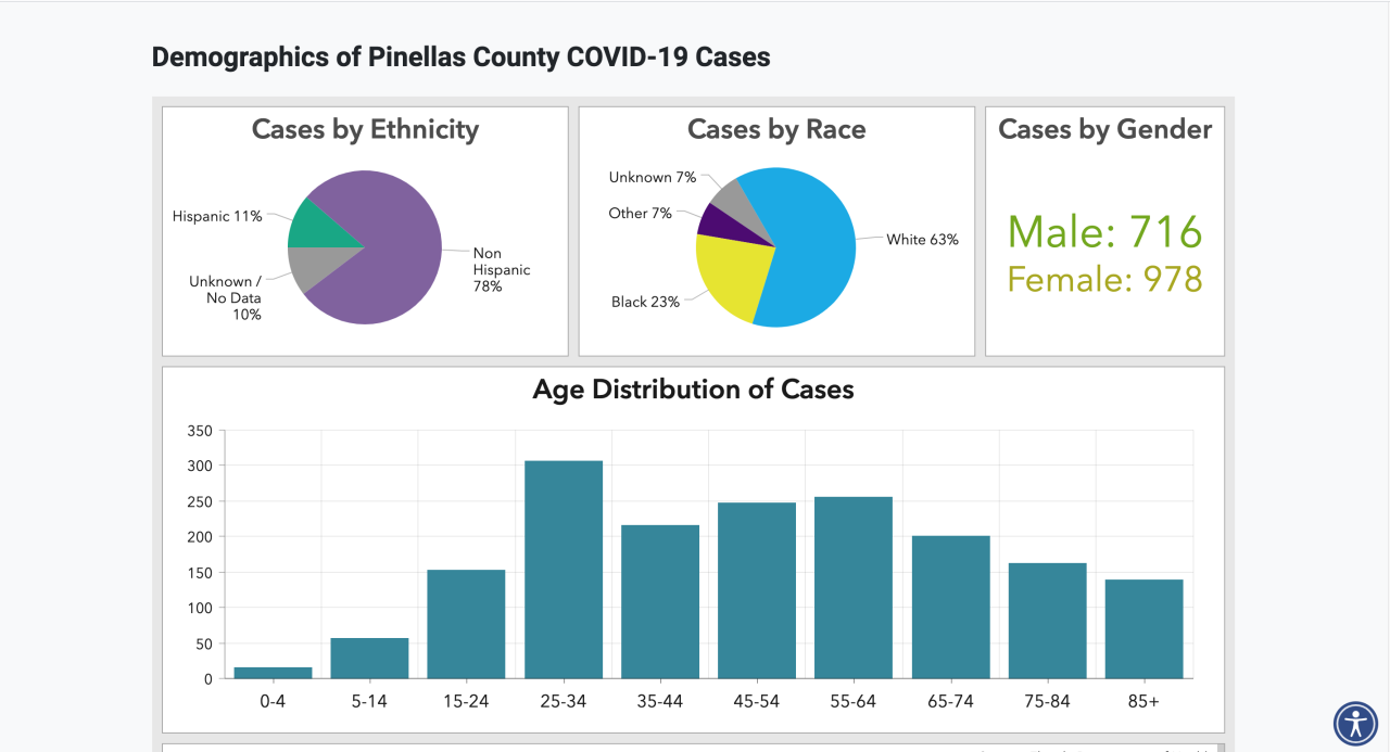 Pinellas County COVID 19 Dashboard as of June 10