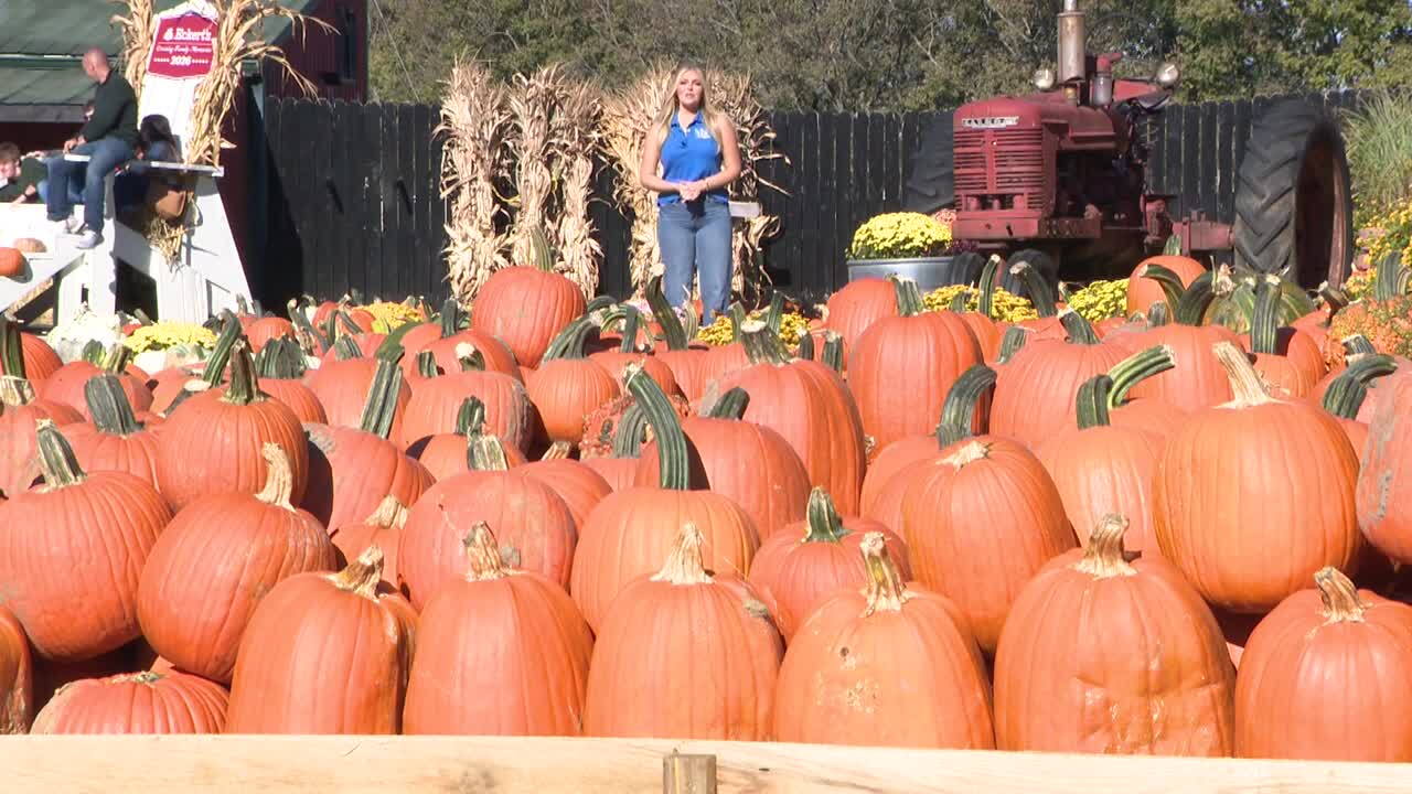 Eckert's Orchard 02.jpg