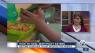 Dr. Norina Ocampo with West Boca Medical Center talks about ways to get your child to pick up the fork if they are a picky eater.