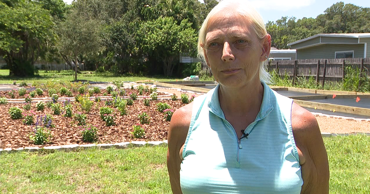 Madeira Beach wildlife center reuniting surviving animals after devastating fire - Vimarsana News