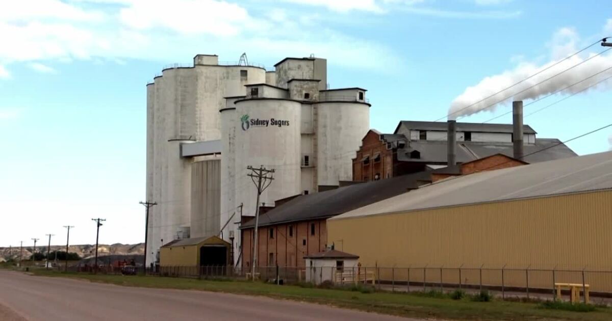 Sidney Sugars beet-processing plant will close in April