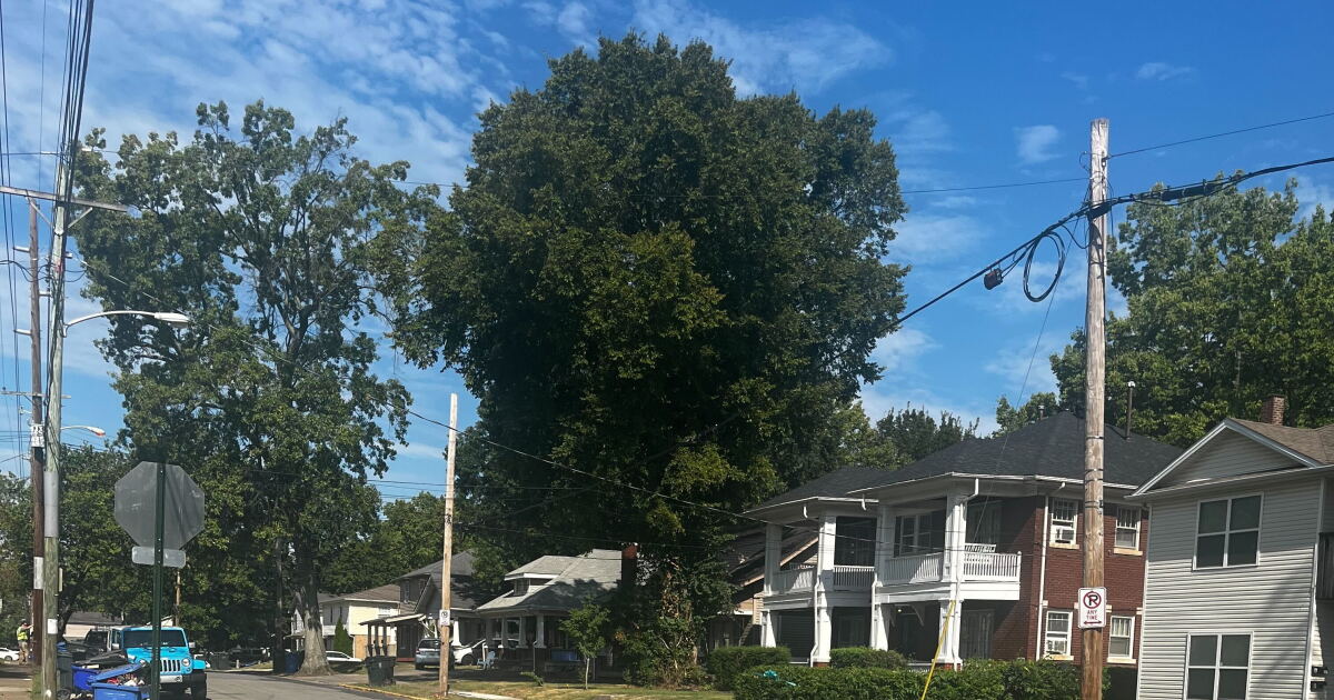 UK students react to shots fired on State Street over Labor Day weekend - Vimarsana News