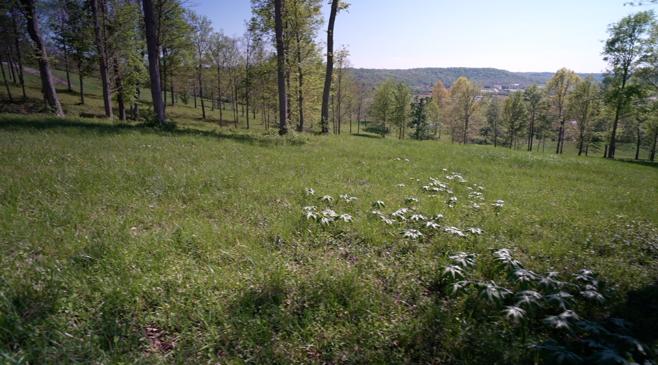 Doug Evans has amassed 500 acres on one side of Mt. Carmel Road with sweeping views of the valley and the Little Miami River.